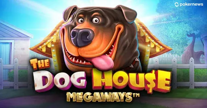 Dog House Megaways